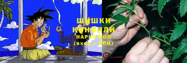 спиды Куртамыш