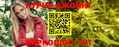 прущие крисы Камышлов