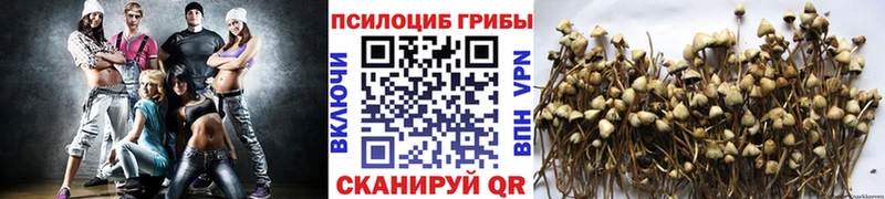 кракен вход  Лабытнанги  Псилоцибиновые грибы MAGIC MUSHROOMS  наркотики 